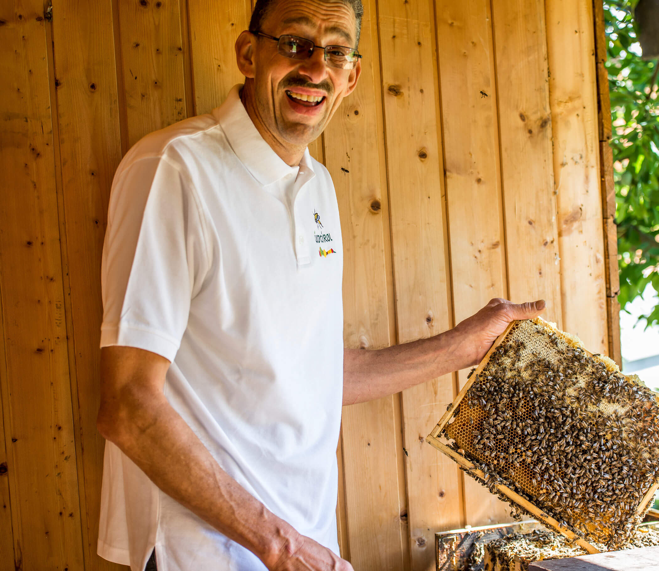 Beekeeping next to the hotel