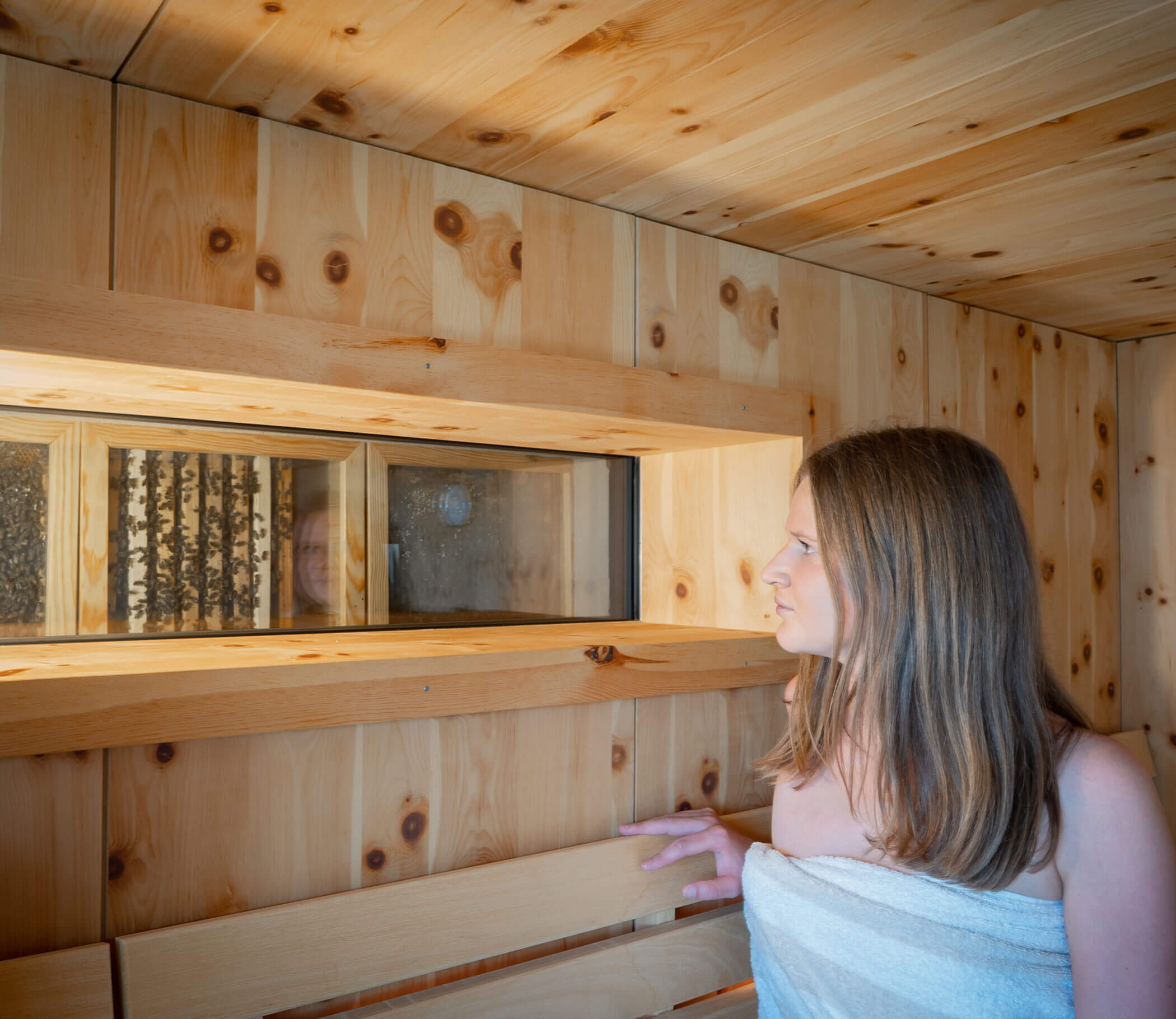 Blick auf die Bienen von der Sauna aus